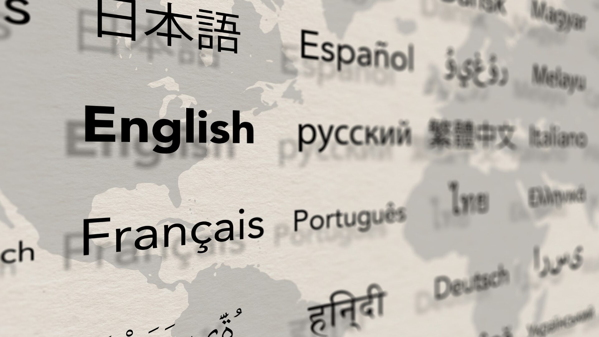 The Diversity of Translation